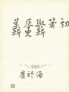 叶辰与萧初然最新更新