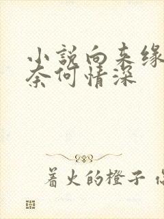 小说向来缘浅,奈何情深