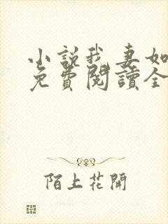 小说我妻如奴琳免费阅读全文