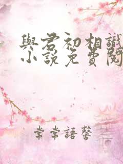 与君初相识原著小说免费阅读