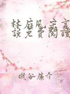 林庭风宋言汐小说免费阅读全文无弹窗