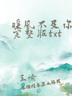 暖风不及你情深完整版txt