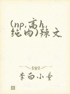 (np,高h,纯肉)辣文