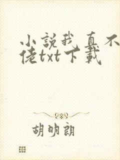 小说我真不是大佬txt下载