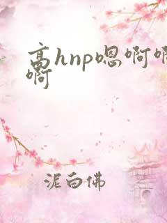 高hnp嗯啊啊啊