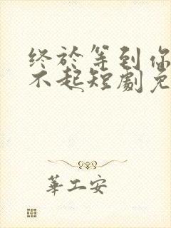 终于等到你高攀不起短剧免费观看