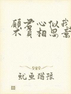 愿君心似我心定不负相思意