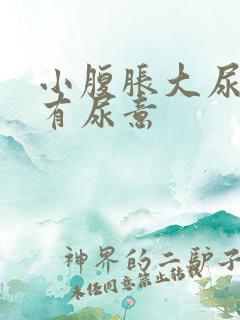 小腹胀大尿急总有尿意