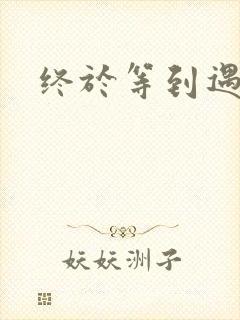 终于等到遇见你