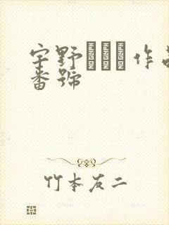 宇野みりい作品番号