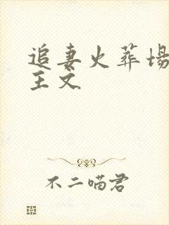 追妻火葬场双女主文