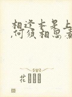 相逢本是上上签,何须相思煮余年什么意思