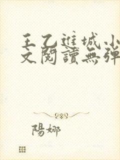 王乙进城小说全文阅读无弹窗