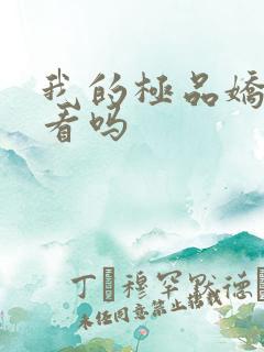 我的极品娇妻好看吗