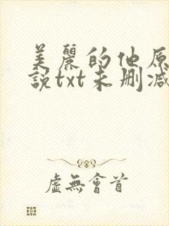 美丽的他原著小说txt未删减