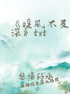 《暖风不及你情深》txt