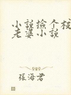 小说捡个校花做老婆小说