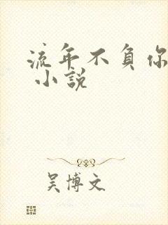 流年不负你情深 小说