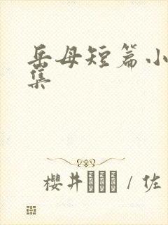 岳母短篇小说合集