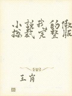 小说我的傲娇女总裁完整版未删减小说