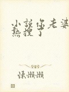 小说你老婆又上热搜了