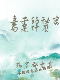 妻子的秘密大结局是什么