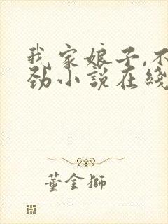 我家娘子,不对劲小说在线阅读