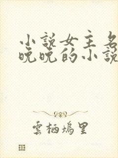 小说女主名叫林晚晚的小说