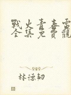 战火青春电视剧全集免费观看高清