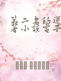 第二名的逆袭原著小说电子版