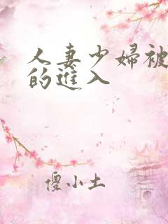 人妻少妇被猛烈的进入