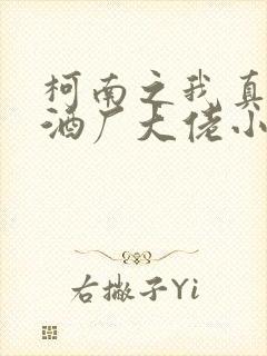 柯南之我真不是酒厂大佬小说全文