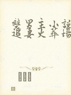 双男主小说短篇追妻火葬场