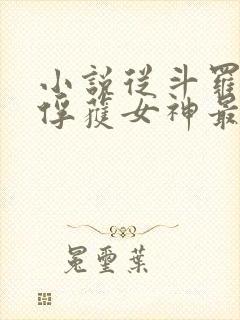 小说从斗罗开始俘获女神最新章节