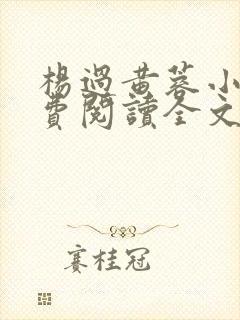 杨过黄蓉小说免费阅读全文