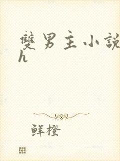 双男主小说双性h