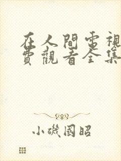 在人间电视剧免费观看全集完整版高清