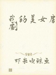我的美女房东网剧