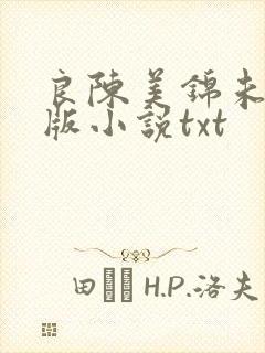 良陈美锦未删减版小说txt