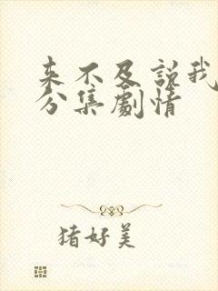 来不及说我爱你分集剧情