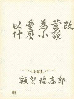 以爱为营改编自什么小说