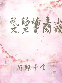 我的娇妻小说全文免费阅读
