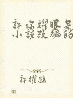 许你耀眼是哪部小说改编的