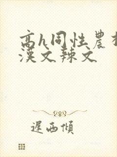 高h同性农村壮汉文辣文