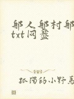 那人那村那傻瓜txt网盘