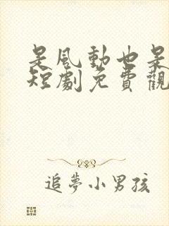 是风动也是心动短剧免费观看全集