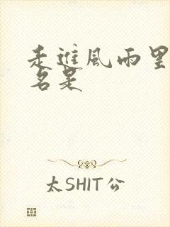 走进风雨里的歌名是