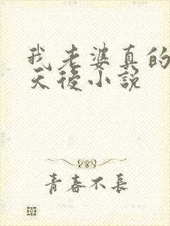 我老婆真的不是天后小说