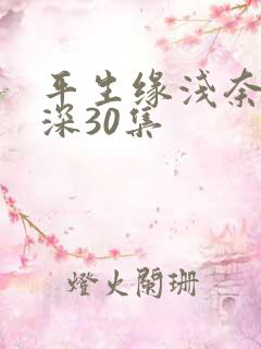 平生缘浅奈何情深30集