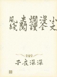 风光烂漫小说在线阅读全文无弹窗